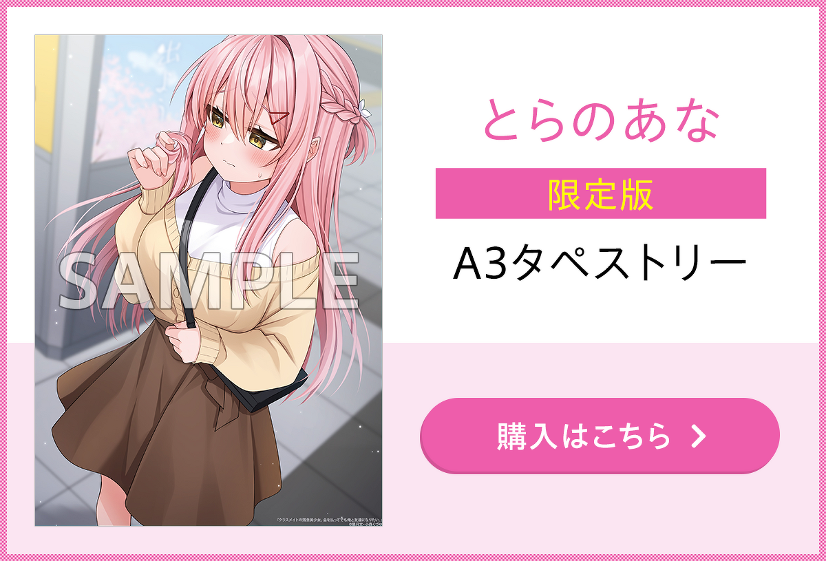 限定版特典 とらのあな A3タペストリー