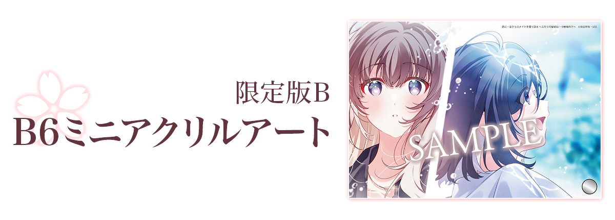 限定版B：B6ミニアクリルアート