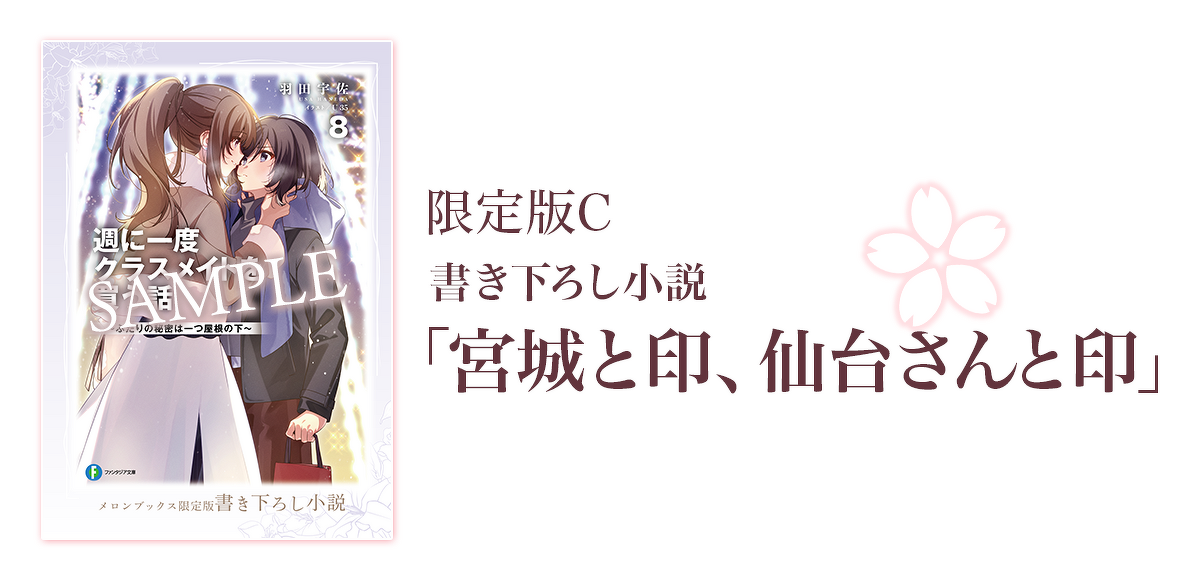 限定版C：書き下ろし小説