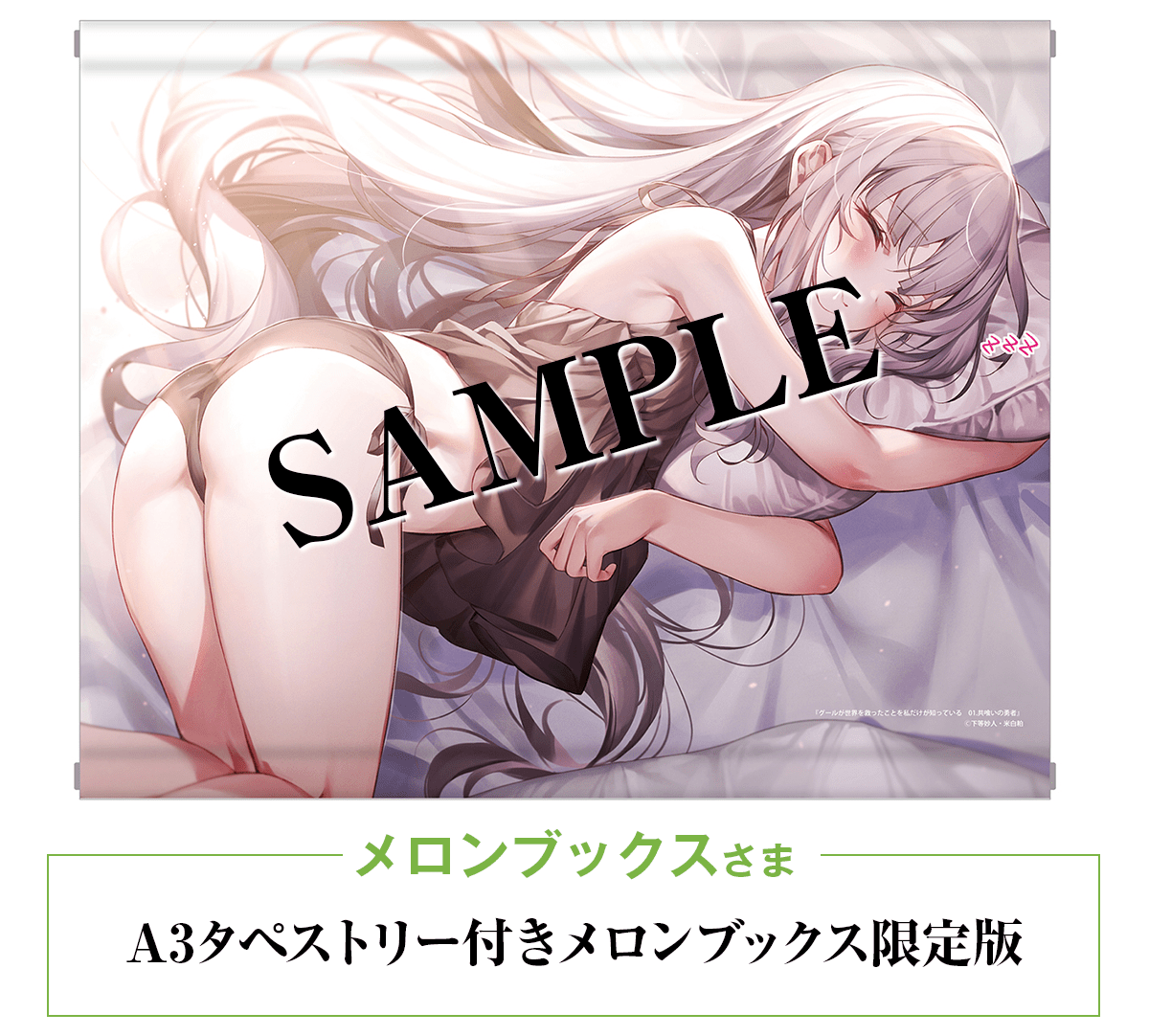 A3タペストリー付きメロンブックス限定版