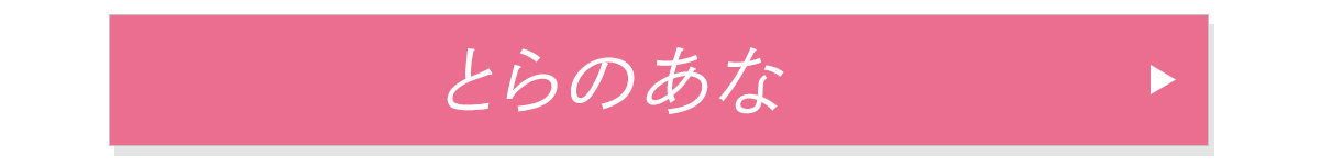 とらのあな