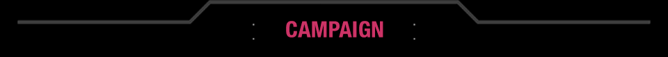 CAMPAIGN