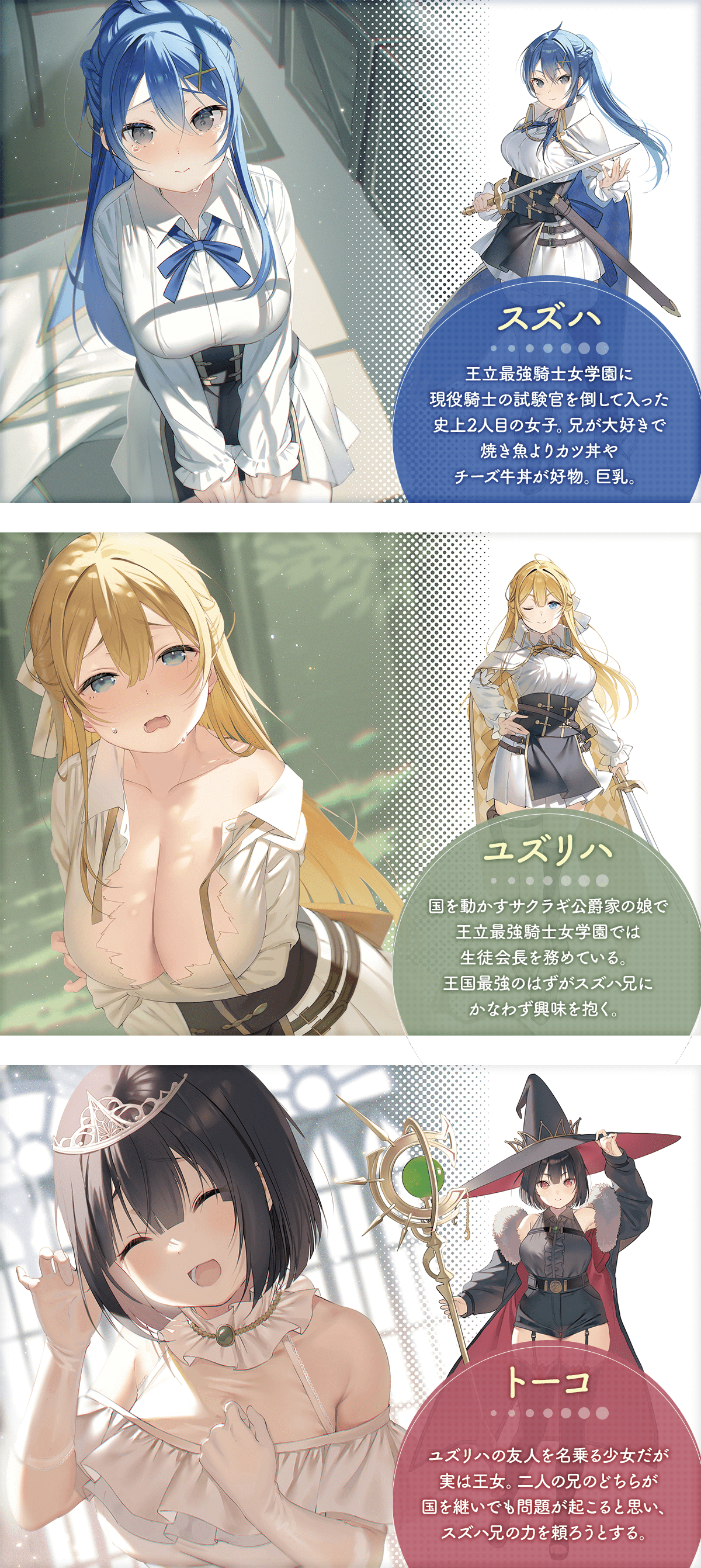 『妹が女騎士学園に入学したらなぜか救国の英雄になりました。ぼくが。』キャラクター