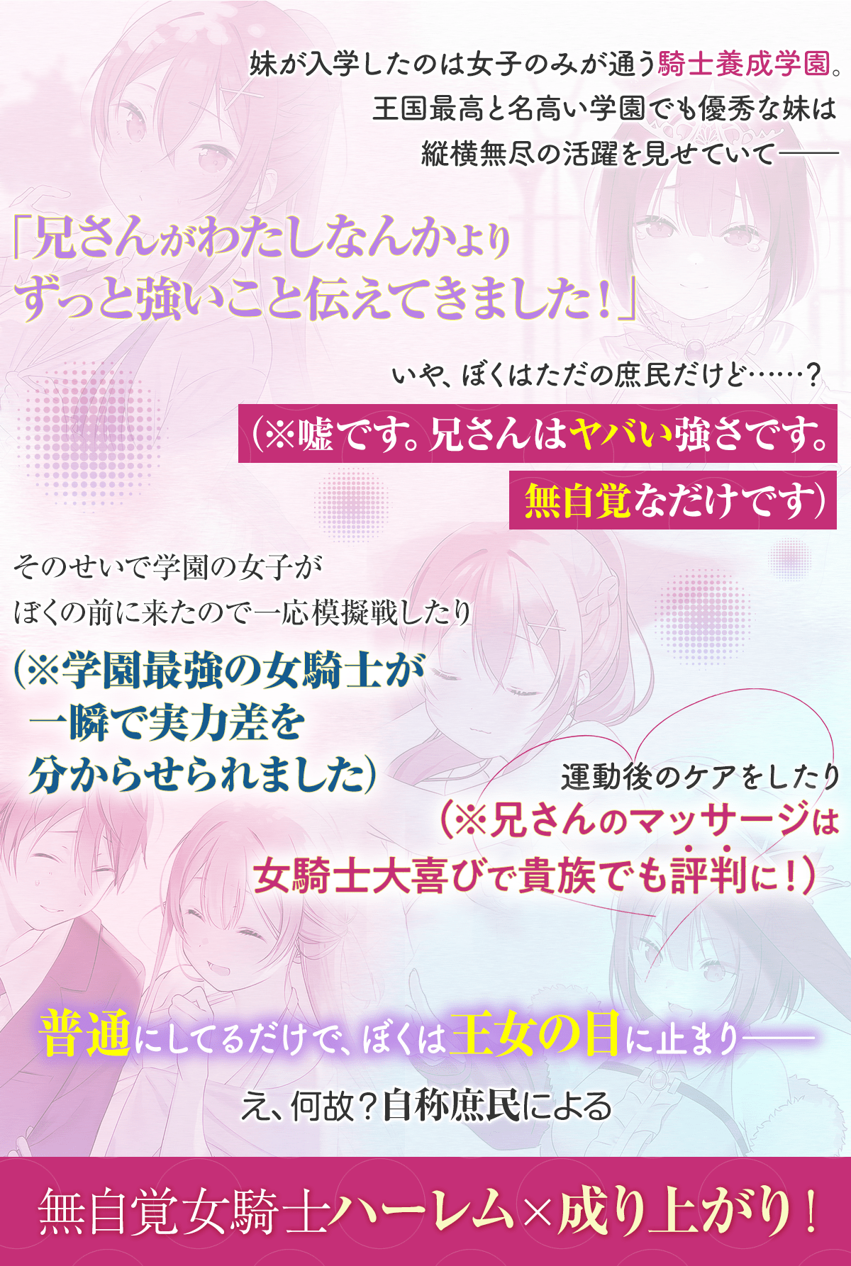 『妹が女騎士学園に入学したらなぜか救国の英雄になりました。ぼくが。』ストーリー