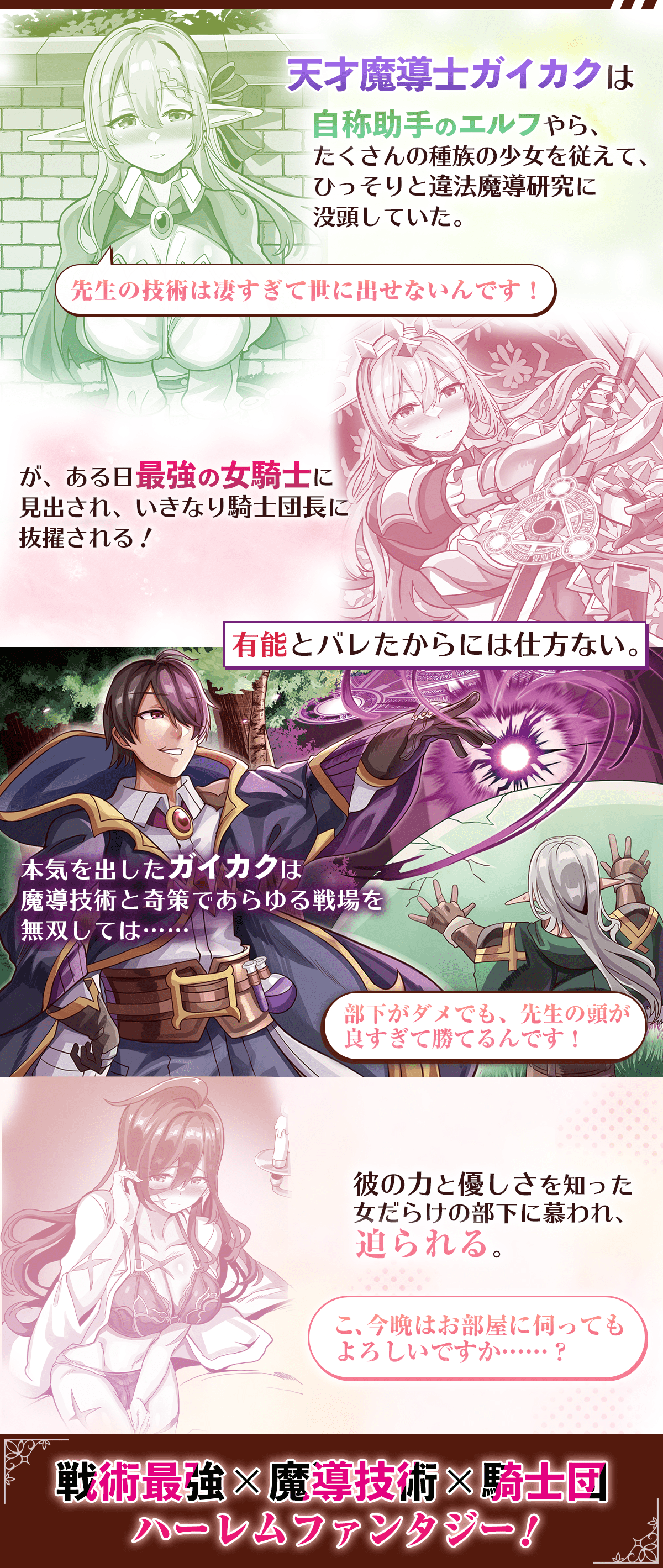 『英雄女騎士に有能とバレた俺の美人ハーレム騎士団 ガイカク・ヒクメの奇術騎士団』あらすじ